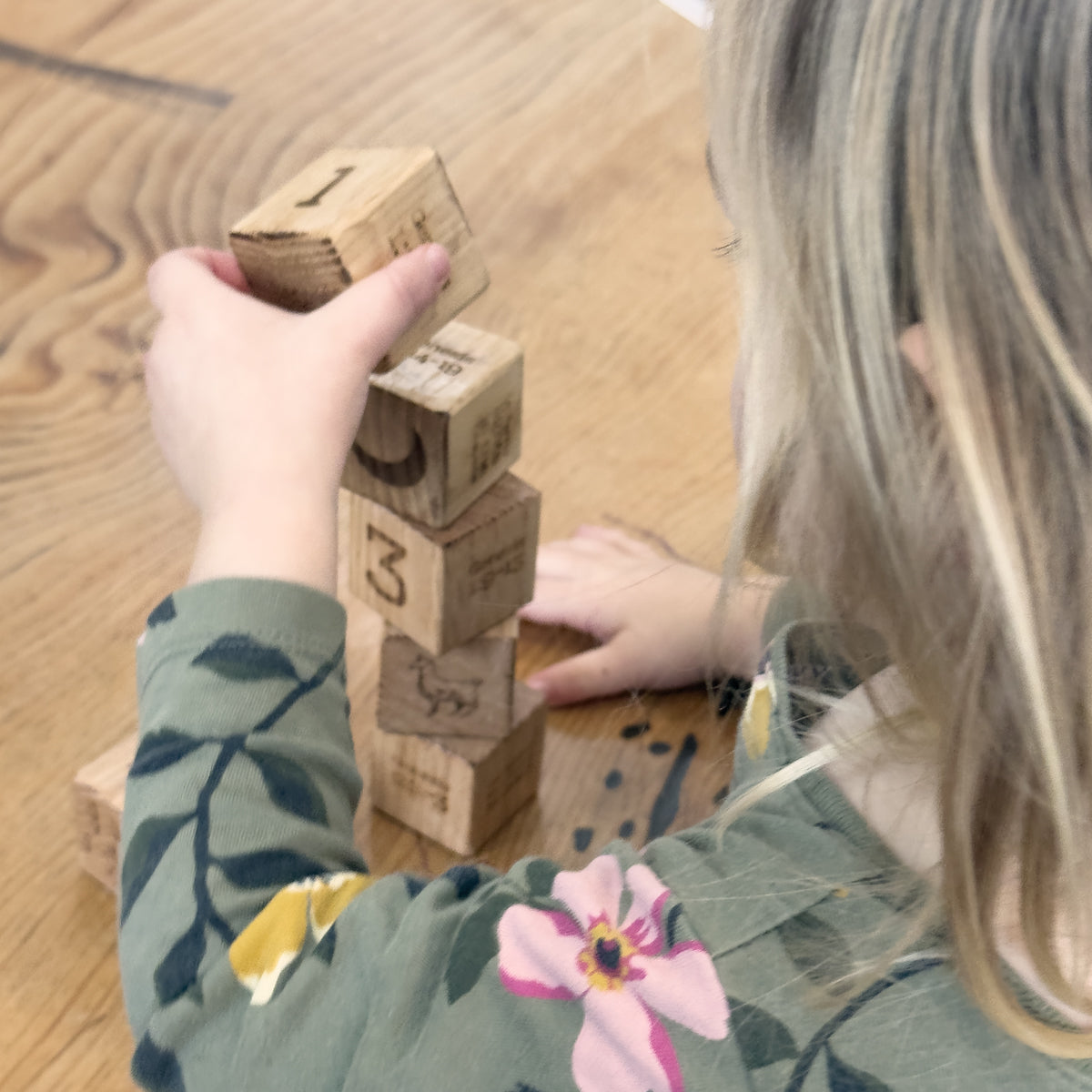 Creation Blocks